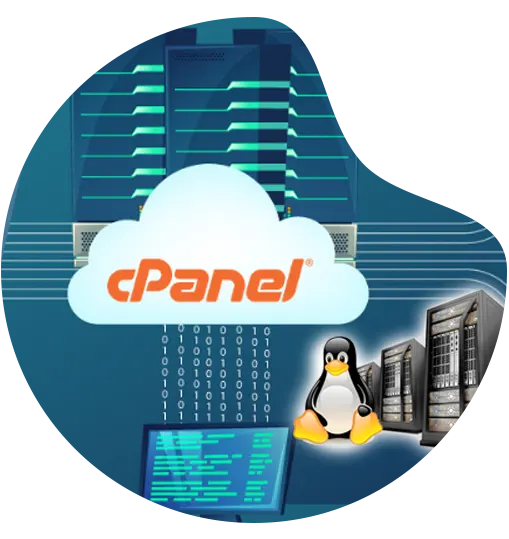 Cpanel Web Facilitating Works