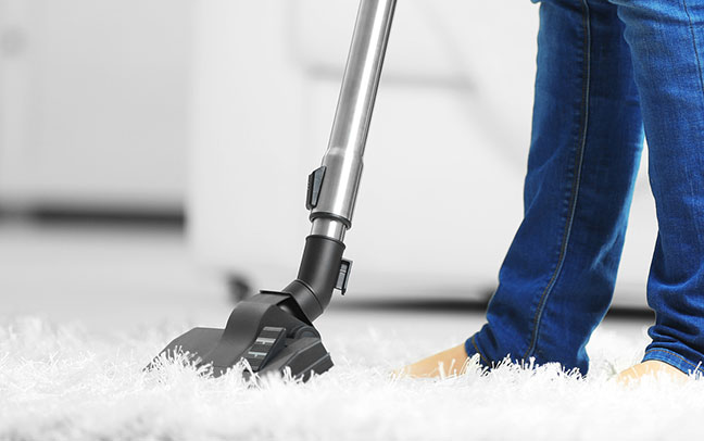 Carpet Cleaning Services